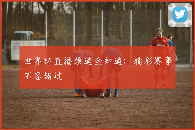 世界杯直播频道全知道:精彩赛事不容错过