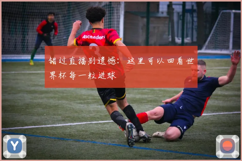 错过直播别遗憾:这里可以回看世界杯每一粒进球