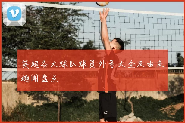 英超各大球队球员外号大全及由来趣闻盘点