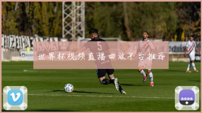 世界杯视频直播回放平台推荐