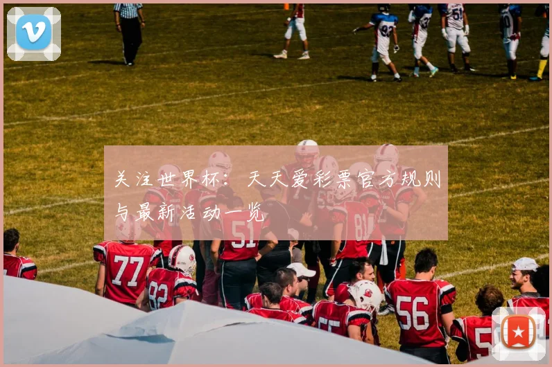 关注世界杯：天天爱彩票官方规则与最新活动一览