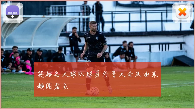 英超各大球队球员外号大全及由来趣闻盘点