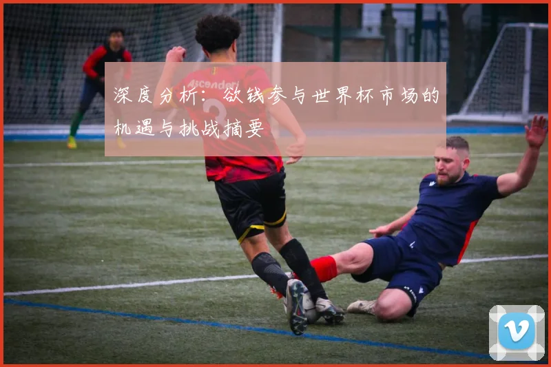 深度分析:欲钱参与世界杯市场的机遇与挑战摘要