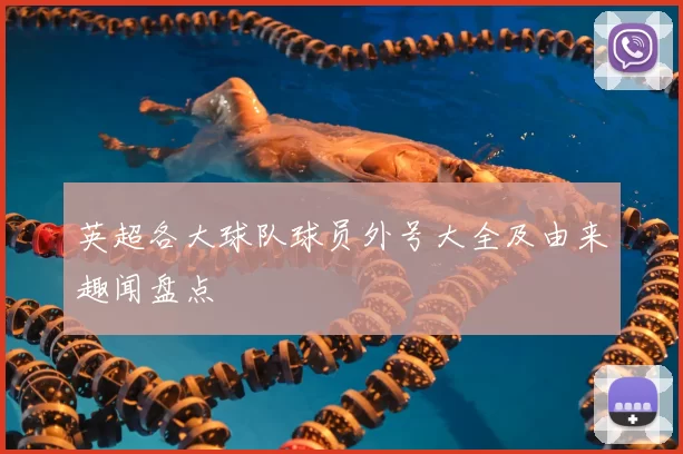 英超各大球队球员外号大全及由来趣闻盘点