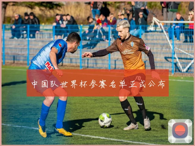 中国队世界杯参赛名单正式公布