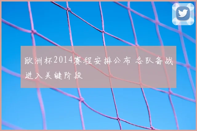 欧洲杯2014赛程安排公布 各队备战进入关键阶段