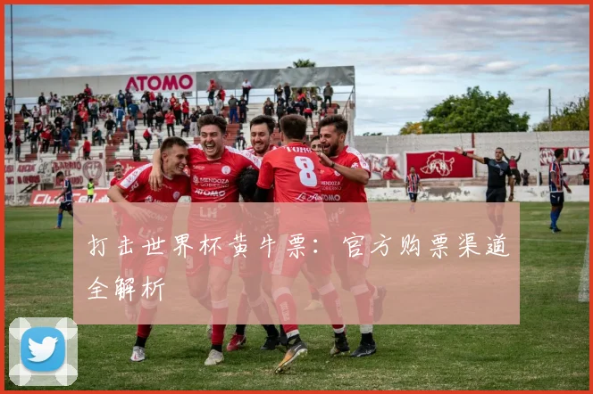 打击世界杯黄牛票：官方购票渠道全解析
