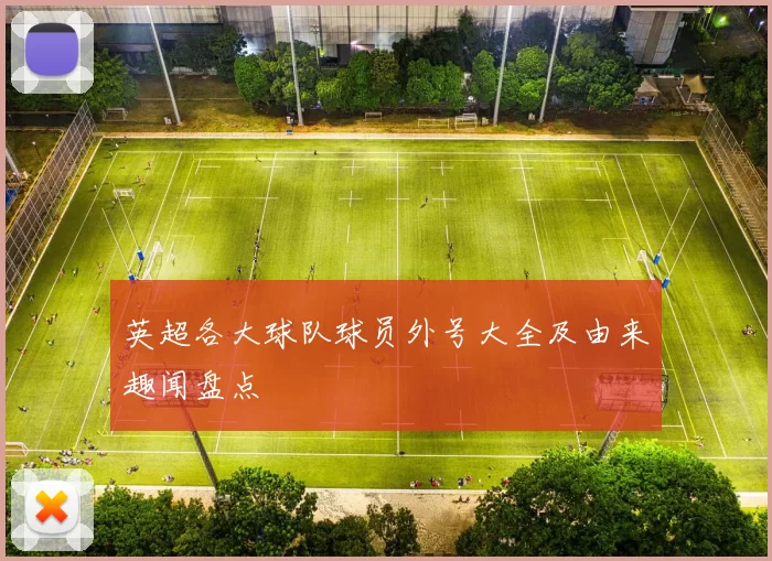 英超各大球队球员外号大全及由来趣闻盘点