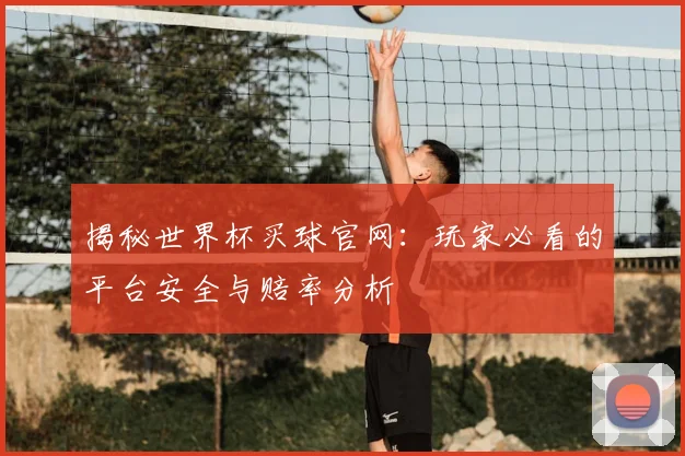 揭秘世界杯买球官网：玩家必看的平台安全与赔率分析
