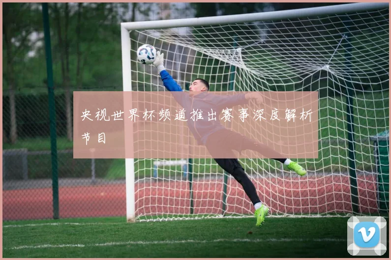 央视世界杯频道推出赛事深度解析节目